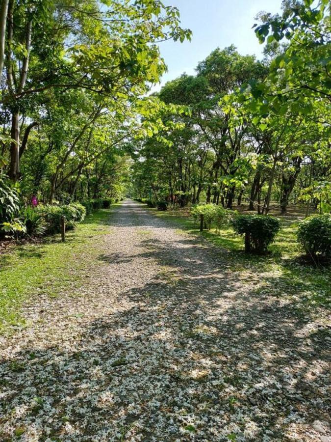 花蓮金澤居民宿樹窩民宿御安居民宿寵物友善 Ji'an Exteriér fotografie