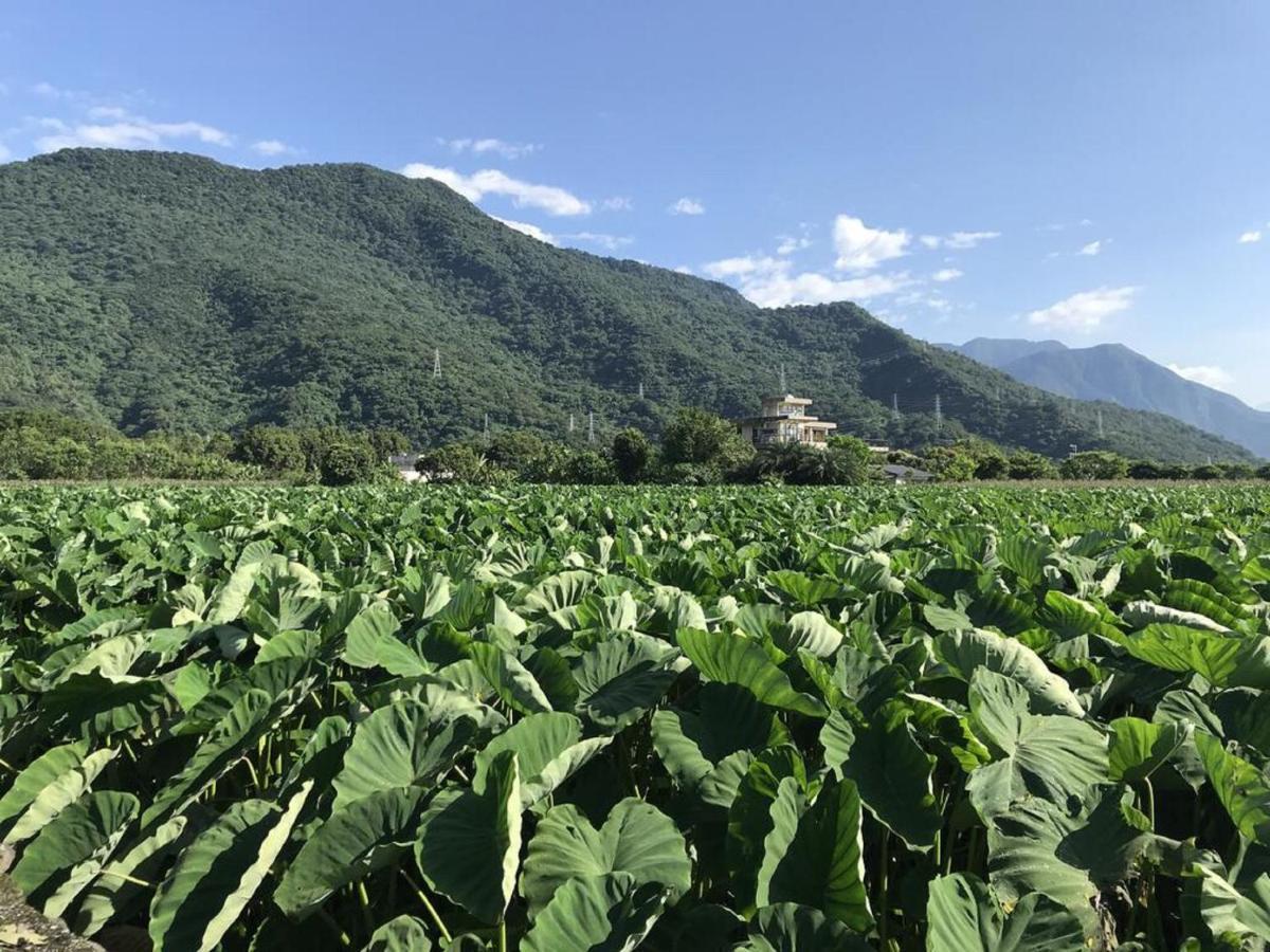 花蓮金澤居民宿樹窩民宿御安居民宿寵物友善 Ji'an Exteriér fotografie